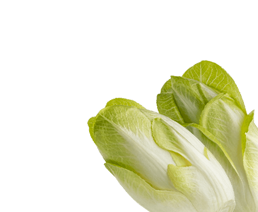 Inulin & Oligofruktose